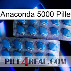 Anaconda 5000 Pill viagra2